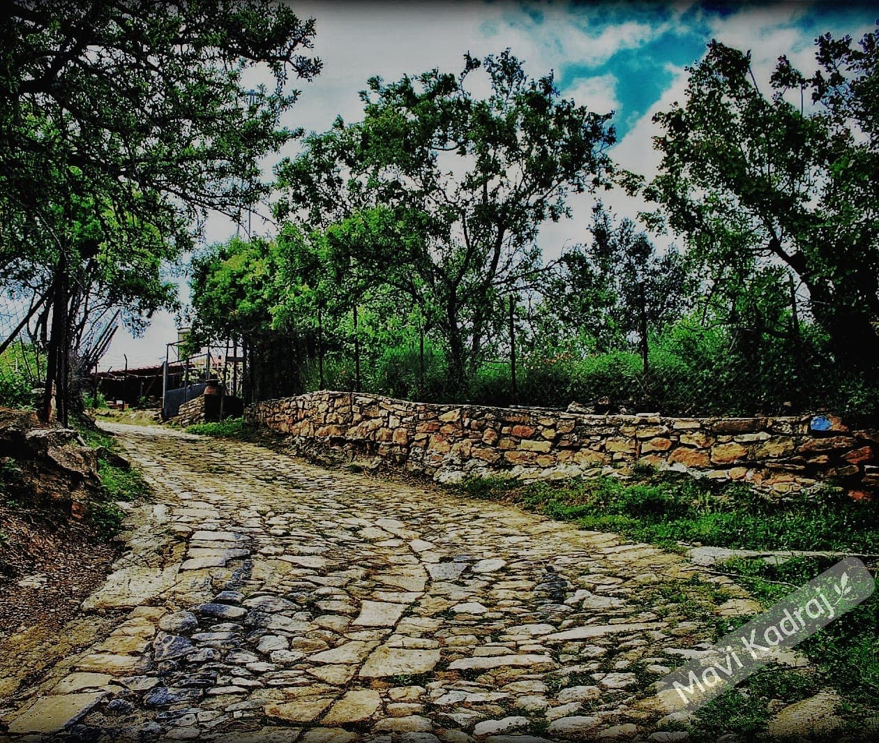Rastgele Kadrajlar koleksiyonundan bir fotoğraf